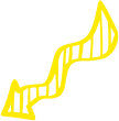 Arrow Decoration